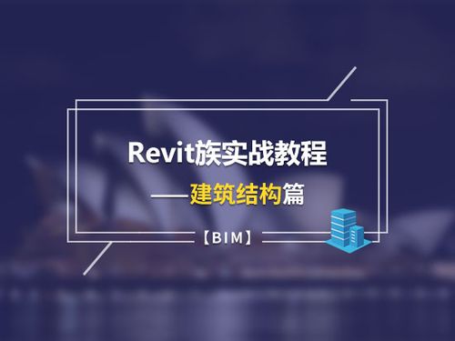 總結(jié)Revit培訓(xùn)經(jīng)驗(yàn) - BIM,Reivt中文網(wǎng)